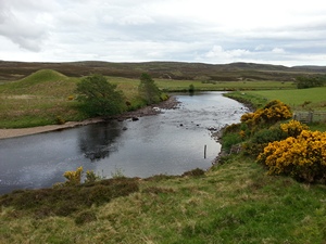 River Naver salmon fishing