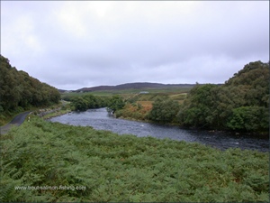 Salmon Fishing on the Naver