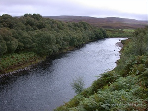 Salmon Fishing on the River Naver