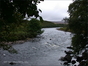 Salmon Fishing on the River Naver