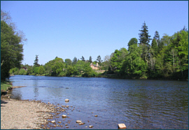 River Ness - salmon fishing