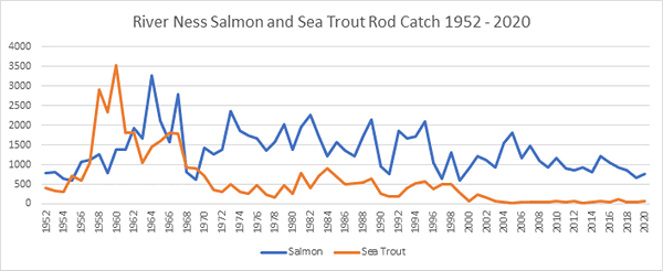 River Ness Salmon Catches