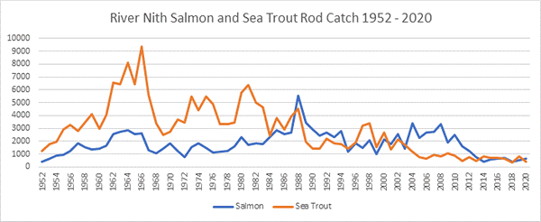 River Nith Salmon Catches