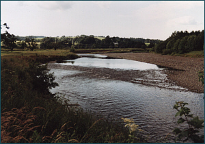 Salmon Fishing River Nith near Thornhill