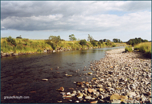 Salmon and Sea Trout Fishing, River Nith