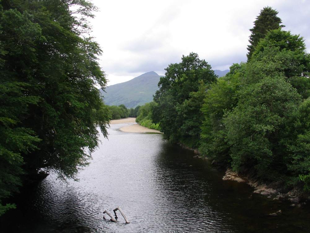 River Orchy Salmon Fishing