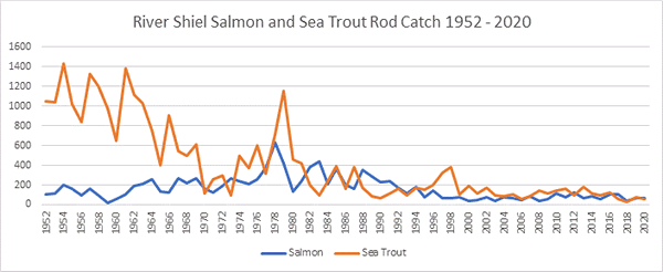 River and Loch Shiel salmon catch