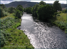 Fishing River Shin