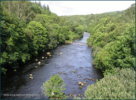 River Shin Fishing