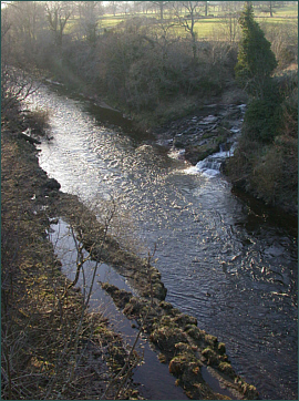 South Esk - Fishing