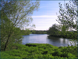 River Spey at Auchernack