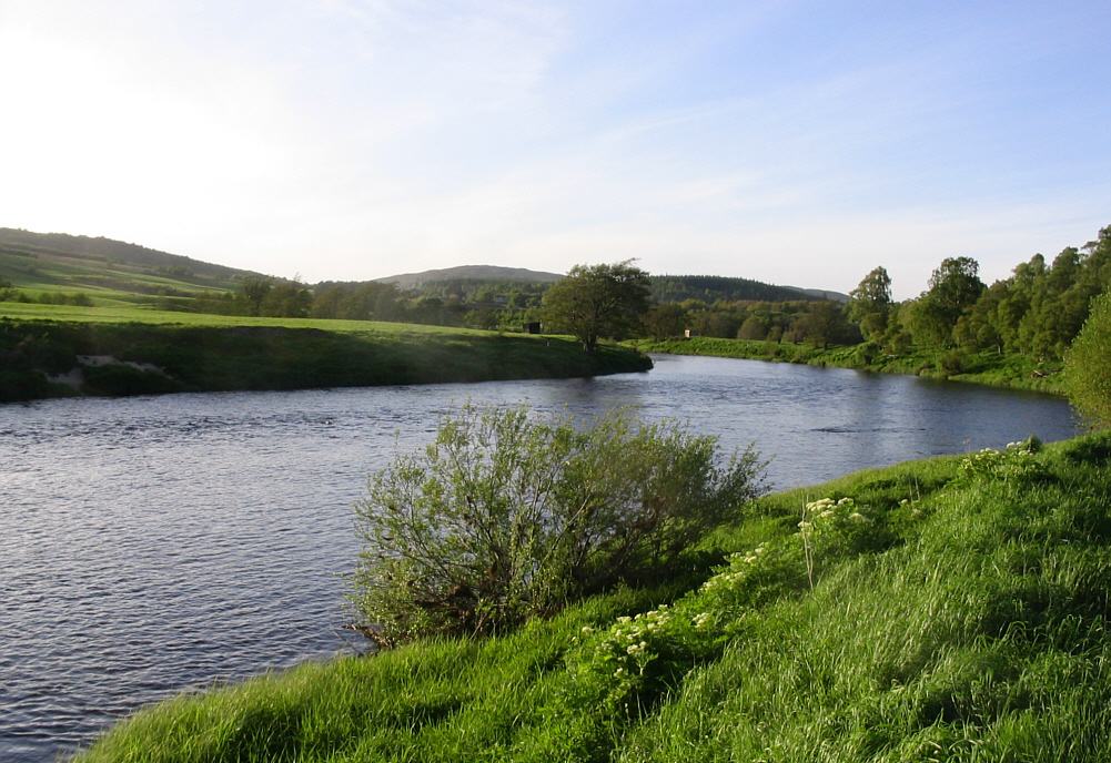 Sea Trout River