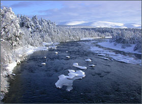 Upper Castle Grant Water, River Spey