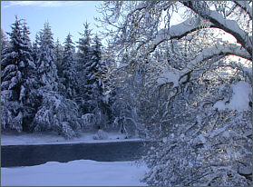 The Long Pool, Upper Castle Grant