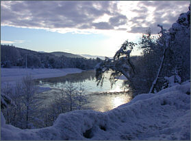 Macleod's Pool, River Spey