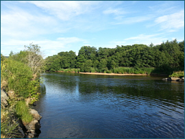 River Spey at Nethymouth