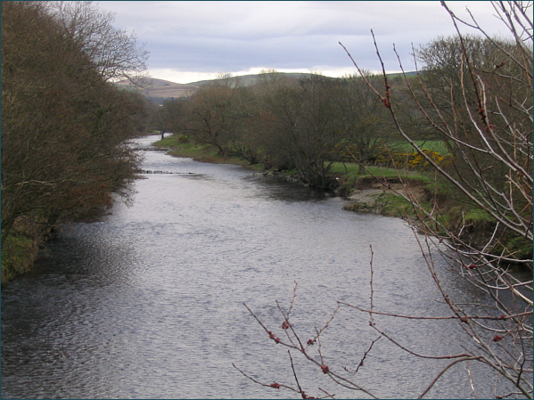 River Stinchar Salmon Fishing