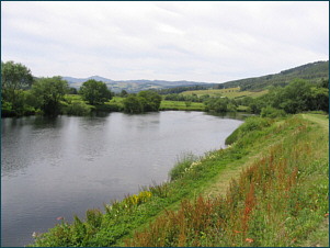 River Tay Salmon Fishing