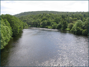 River Tay Salmon Fishing