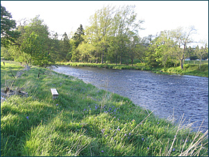 Salmon Fishing River Teith, Callander