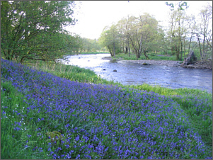 Cambusmore Fishings, River Teith