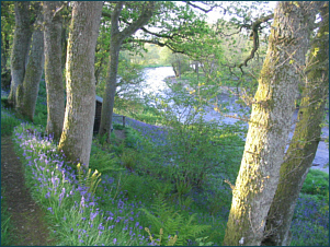 Salmon Fishing River Teith, Cambusmore Fishings