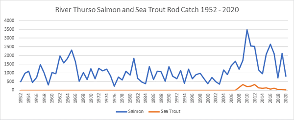 River Thurso Salmon Catches