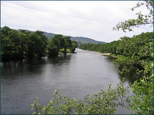 River Tummel Salmon Fishing