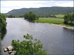 River Tummel Salmon Fishing