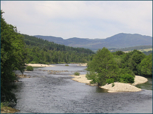 River Tummel Salmon Fishing