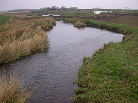 Rora Pool, River Ugie 