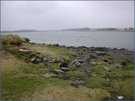 River Ythan at Newburgh