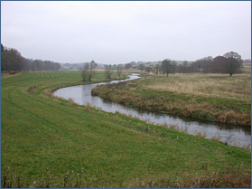 River Ythan sea trout fishing