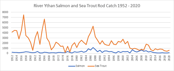 River Ythan salmon catch