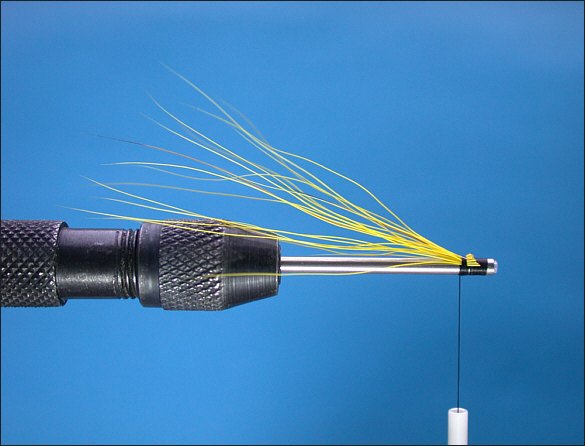 Ruddy Buck Tube Fly - step 2