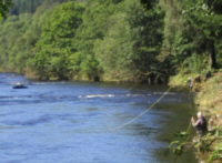 salmon fishing tactics