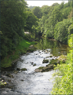 Scottish sea trout river