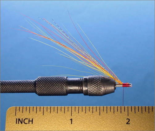 Tying the Yelly Belly Shrimp - step 1