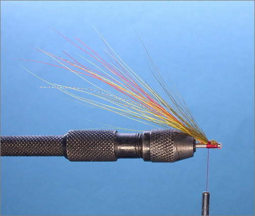 Tying the Yelly Belly Shrimp - step 2