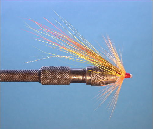 Tying the Yelly Belly Shrimp - step 4