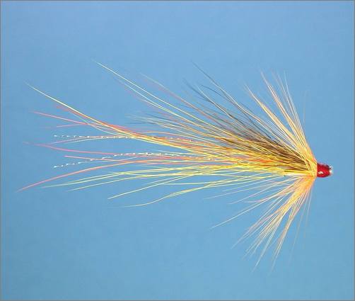 Tying the Yelly Belly Shrimp - step 5