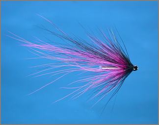 Scottish Shrimp Tube Fly- Magus