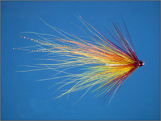 Scottish Shrimp Tube Fly- Tanuki Sunrise