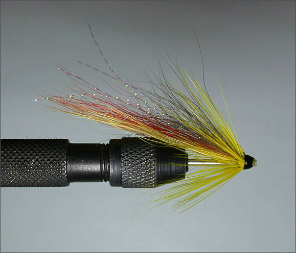 Salmon needle tube fly - Spey Shrimp step 6