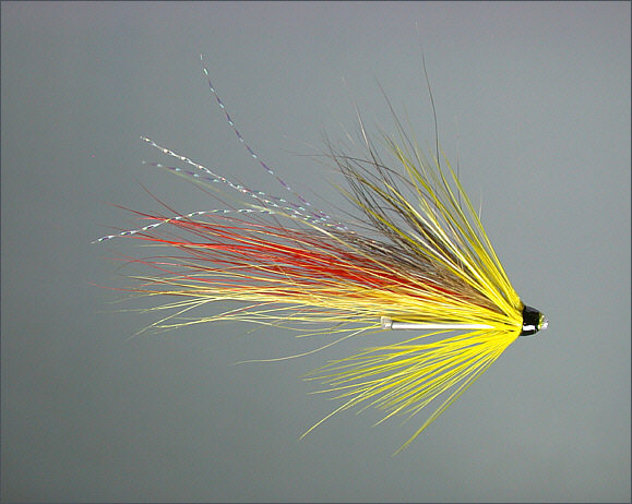 Scottish Spey Shrimp