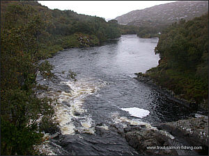 Sea Trout Fishing