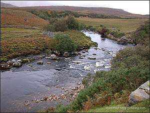 Sea Trout Fishing