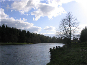 The Longy Pool