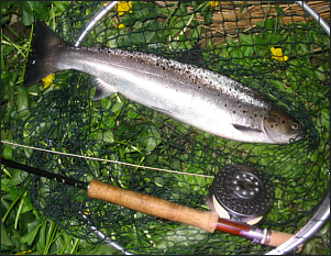Sea Trout Fishing Tackle