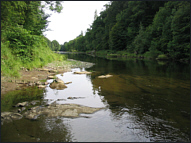 Border Esk Sea Trout Fishing